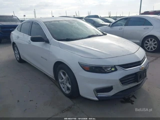 CHEVROLET CHEVROLET MALIBU LS