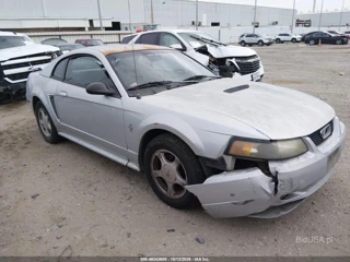 FORD FORD MUSTANG