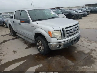 FORD FORD F-150 FX4/HARLEY-DAVIDSON/KING RANCH/LARIAT/PLATINUM/XL/XLT