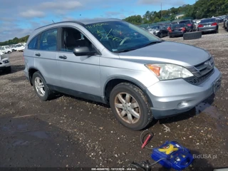 HONDA HONDA CR-V LX