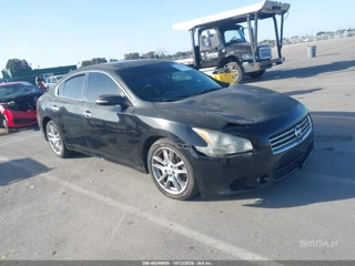 NISSAN NISSAN MAXIMA 3.5 SV