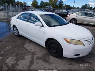 TOYOTA TOYOTA CAMRY LE