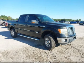 FORD FORD F-150 XLT