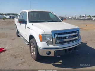 FORD FORD F-150 XLT