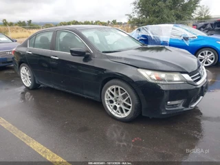 HONDA HONDA ACCORD SPORT