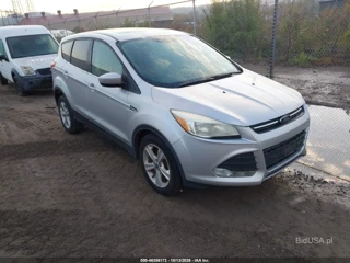 FORD FORD ESCAPE SE