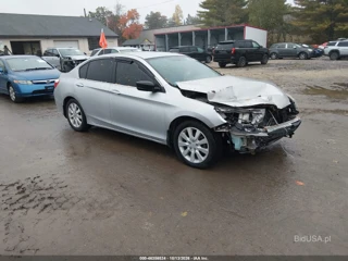 HONDA HONDA ACCORD SPORT