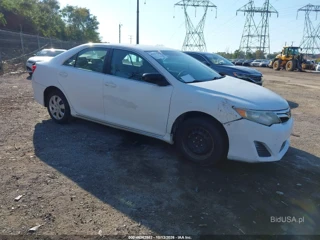 TOYOTA TOYOTA CAMRY LE