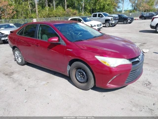 TOYOTA TOYOTA CAMRY HYBRID/LE/XLE/SE