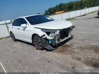 HONDA HONDA ACCORD EX-L V6