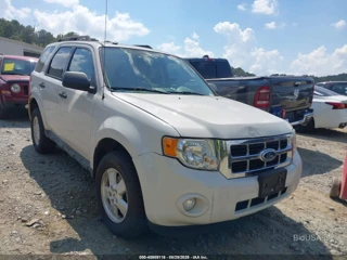 FORD FORD ESCAPE XLT