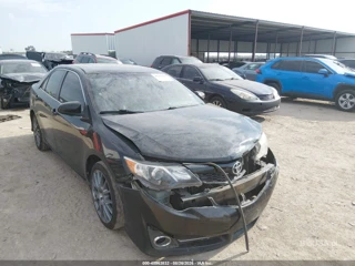 TOYOTA TOYOTA CAMRY SE V6