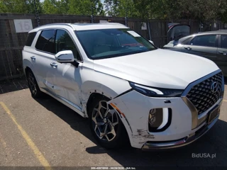 HYUNDAI HYUNDAI PALISADE CALLIGRAPHY