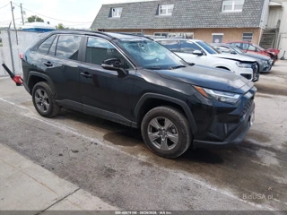 TOYOTA TOYOTA RAV4 XLE