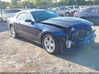FORD FORD MUSTANG V6