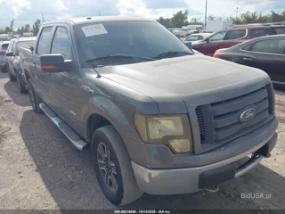 FORD FORD F-150 XLT