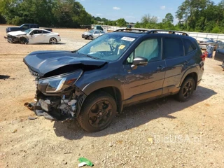 SUBARU FORESTER WILDERNESS