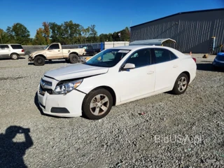 CHEVROLET MALIBU 1LT