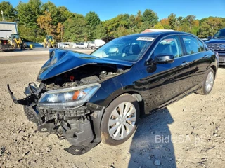 HONDA ACCORD EXL