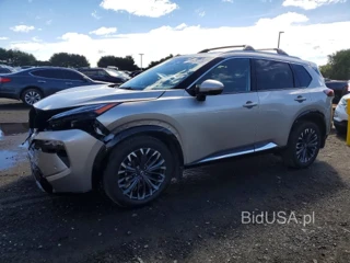 NISSAN ROGUE PLATINUM
