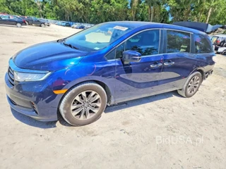 HONDA ODYSSEY EXL