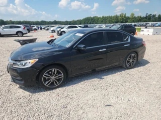 HONDA ACCORD EXL