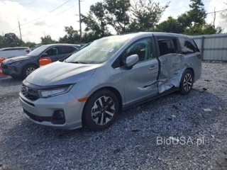 HONDA ODYSSEY EXL