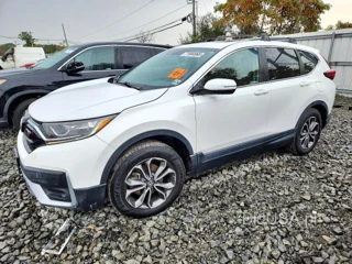 HONDA CR-V EX