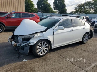 HONDA ACCORD EXL