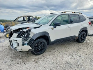 SUBARU FORESTER WILDERNESS