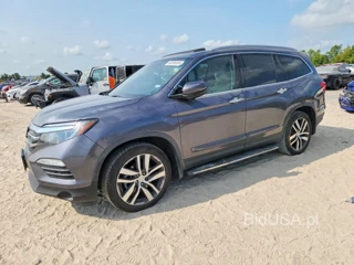 HONDA PILOT ELITE