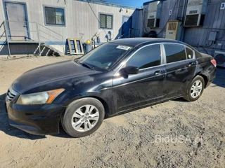 HONDA ACCORD LXP