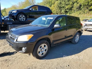 TOYOTA RAV4 BASE