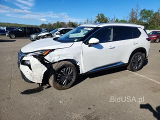 NISSAN ROGUE PLATINUM