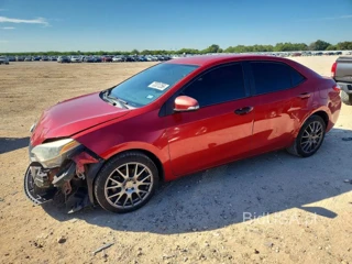 TOYOTA COROLLA S PLUS