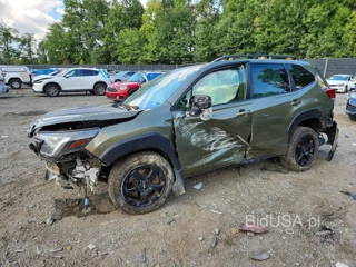 SUBARU FORESTER WILDERNESS