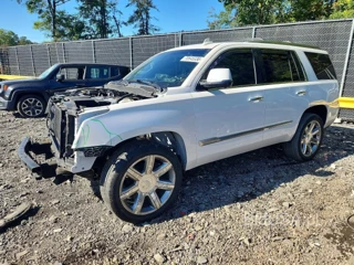 CADILLAC ESCALADE LUXURY