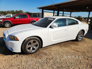 DODGE CHARGER