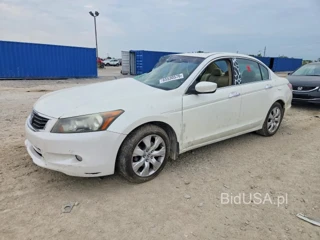 HONDA ACCORD EXL