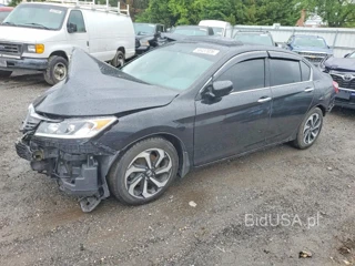 HONDA ACCORD EXL