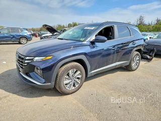 HYUNDAI TUCSON BLUE