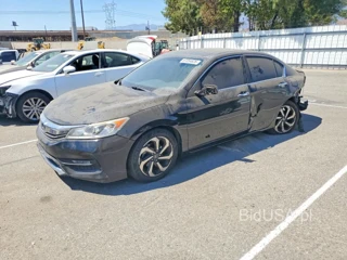 HONDA ACCORD EX
