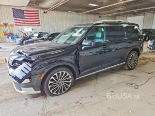 HYUNDAI PALISADE CALLIGRAPHY