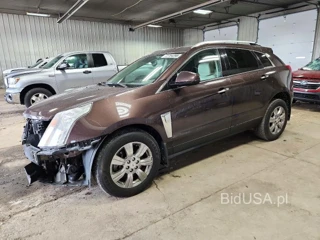 CADILLAC SRX LUXURY COLLECTION