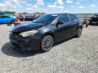 TOYOTA COROLLA LE