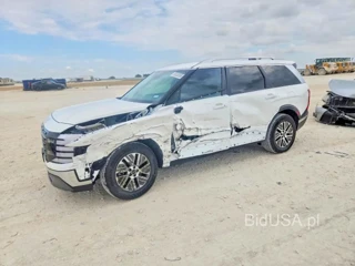 HYUNDAI PALISADE BLUE SEL