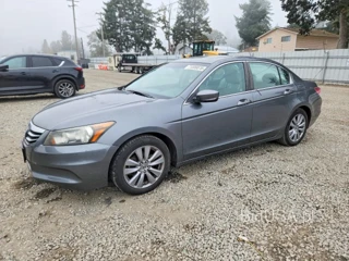 HONDA ACCORD EXL