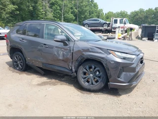 TOYOTA TOYOTA RAV4 HYBRID SE