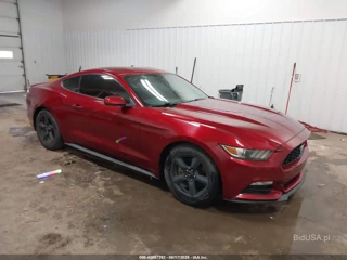 FORD FORD MUSTANG V6