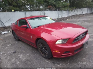 FORD FORD MUSTANG V6 PREMIUM